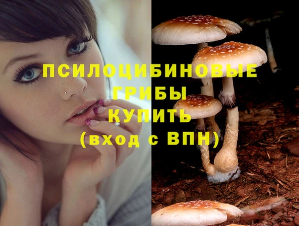 кокаин премиум Верхний Тагил