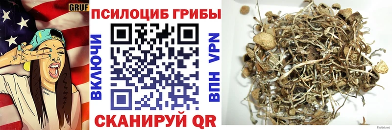 Псилоцибиновые грибы Psilocybine cubensis  Хабаровск 